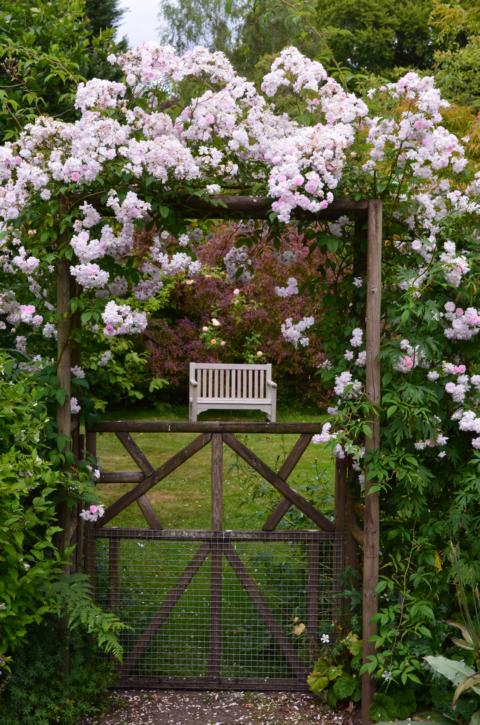 Portrack Garten Schottland